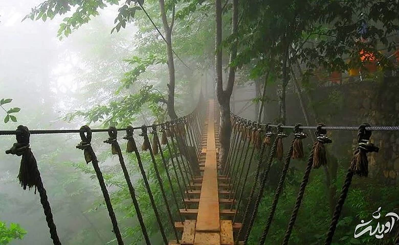 تله کابین رامسر بهتر است یا تله کابین نمک آبرود؟